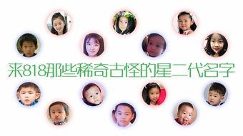 娱乐吃瓜名字叫什么好听,揭秘那些好听又独特的娱乐吃瓜名字