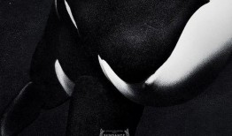 黑鲸鱼在线观看