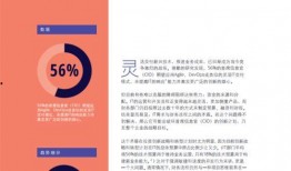 都市报道爆料武校视频下载,都市报道爆料视频下载引发热议