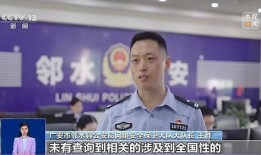 最新偷鱼爆料新闻报道,偷鱼团伙作案手法揭秘
