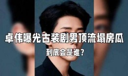 娱乐大爆料卓伟视频,娱乐大爆料背后的真相与内幕