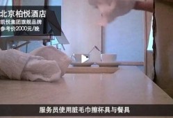 康家历史爆料视频,独家爆料视频深度解析