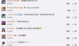 风哥教练爆料全视频,独家爆料背后的故事与真相