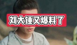 刘大锤真实爆料视频