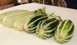 油管吃瓜网红,揭秘网络红人的幕后生活