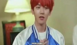 边伯贤圈内爆料是谁,圈内爆料背后的惊人真相