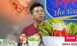 爆料杨迪女友视频大全下载,揭秘明星私生活瞬间