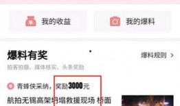 新闻爆料平台有没有奖励,揭秘幕后真相与丰厚回报！”