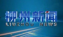 广西电视台 爆料新闻,揭秘背后惊人真相