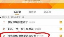卓伟爆料凤姐视频播放,揭秘网红背后的真相