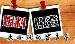 新闻爆料平台有没有奖励,揭秘幕后真相与丰厚回报！”
