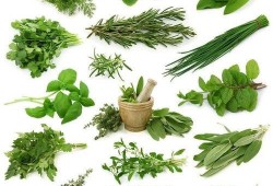 野菜生活爆料视频,探寻自然馈赠的绿色宝藏