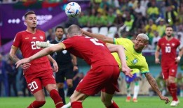 世界杯剧本爆料大全最新