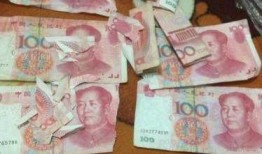 爆料二哈视频下载网站,热门下载网站大曝光