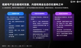都市报道爆料武校视频下载,都市报道爆料视频下载引发热议