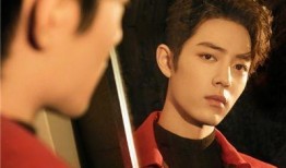 肖战张晶新闻最新爆料,独家爆料揭露惊人内幕