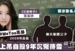 韩国娱乐圈黑幕揭秘爆料,揭秘幕后真相与生存法则