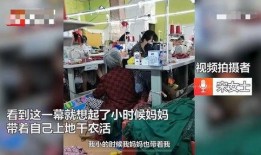面包工厂爆料怎么做视频,视频带你探秘面包制作全过程