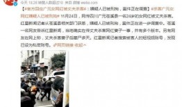 苍溪在线最新爆料,揭秘苍溪最新热点事件内幕