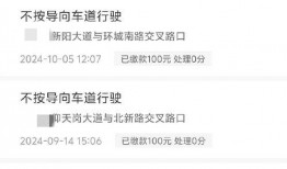 今日头条怪事爆料,揭秘网络世界的奇异现象