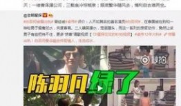 娱乐大爆料卓伟视频,娱乐大爆料背后的真相与内幕