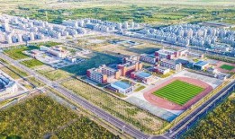甘肃华亭小天鹅最新爆料,揭秘神秘生物的生存现状与保护措施”