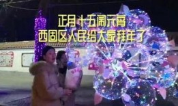十五 在线观看,揭秘在线观看的精彩瞬间