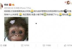 杨紫微博最新爆料事件,揭秘娱乐圈幕后真相