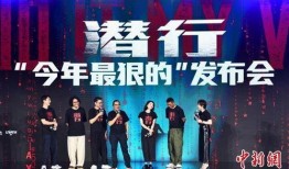 潜行阻击粤语在线观看,暗夜猎手，智勇对决