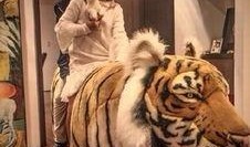 娱乐圈爆料老虎哥是谁啊,揭秘“老虎哥”的真实身份！